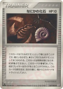 Mysterious Fossil