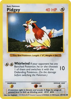 Pidgey