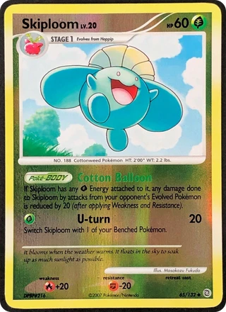 Skiploom