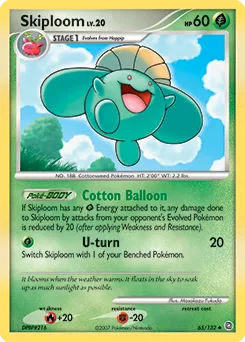 Skiploom