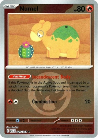 Numel