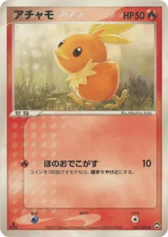 Torchic