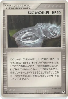 Mysterious Fossil