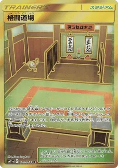 Martial Arts Dojo
