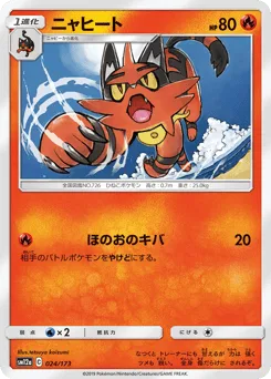 Torracat