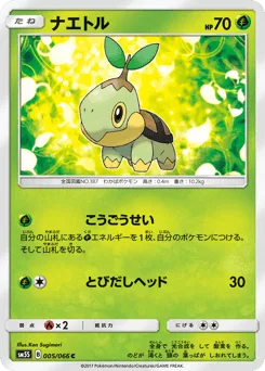 Turtwig