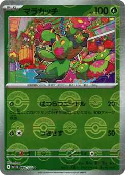 Maractus