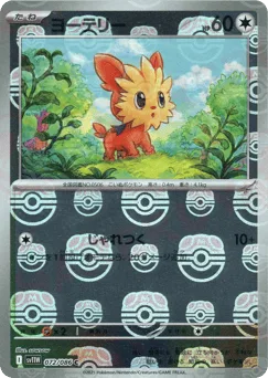Lillipup