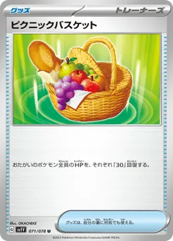 Picnic Basket
