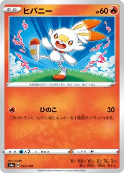 Scorbunny