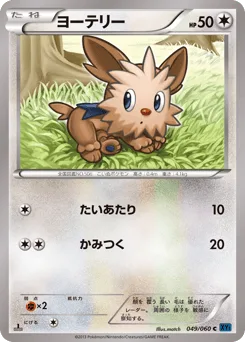 Lillipup