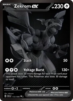 Zekrom ex